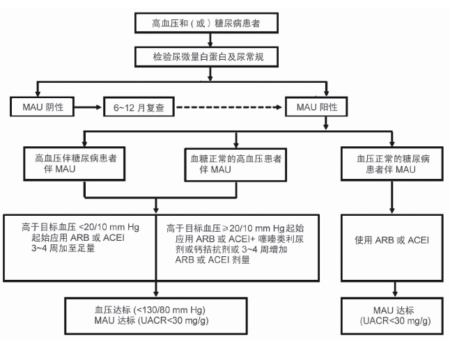 高血压和（或）糖尿病患者MAU筛查与治疗流程