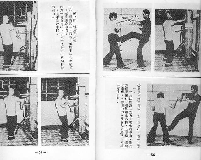 《叶问亲传116式永春木人桩法》中文简体印刷版
