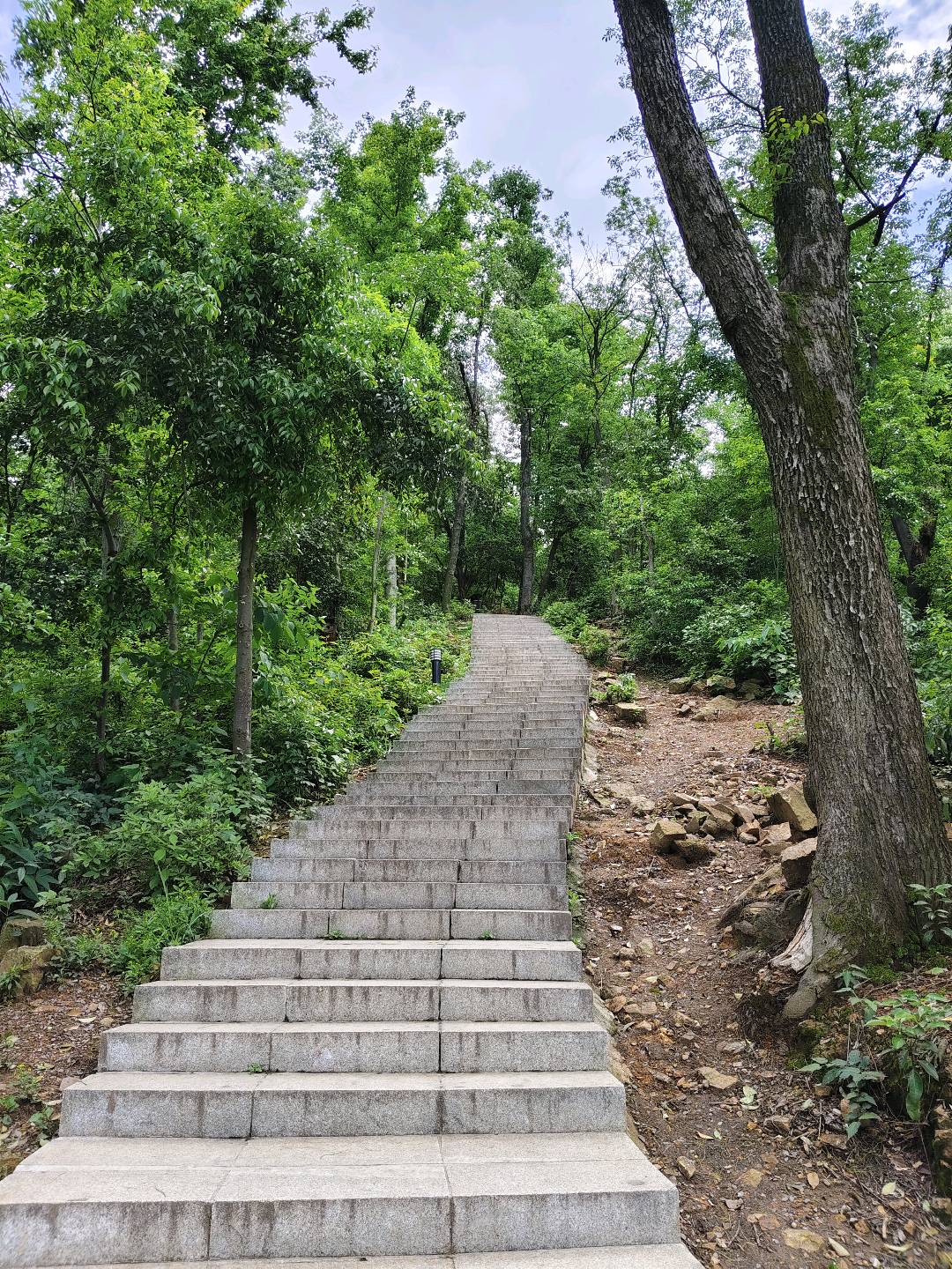 长沙岳麓山