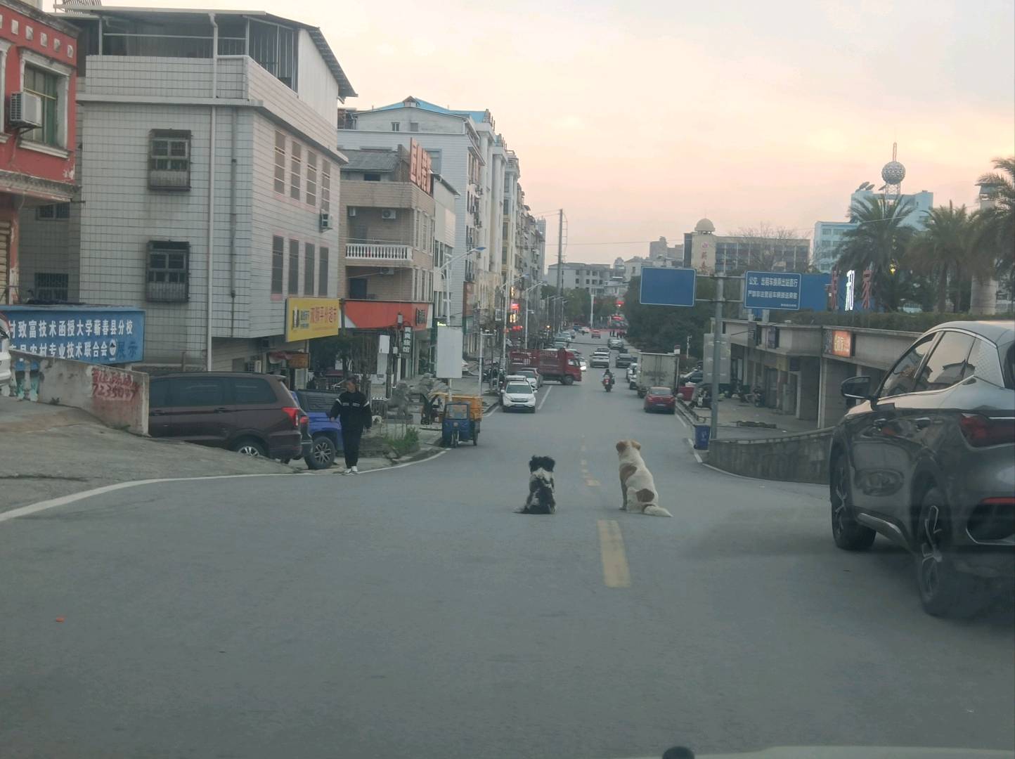 哼哈二将